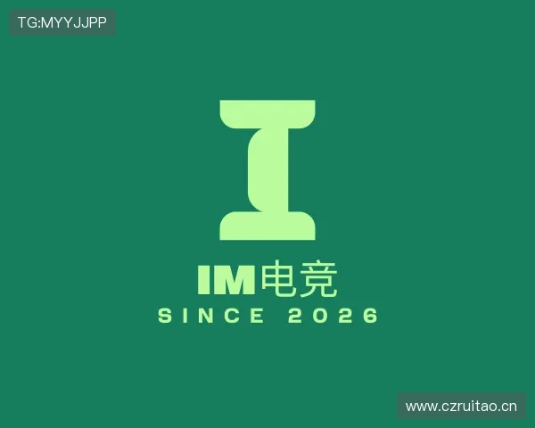 介绍IM股份有限公司
